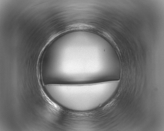 X0000060270843200510281033