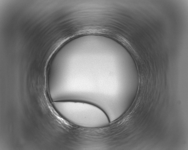 X0000060270844200510281033