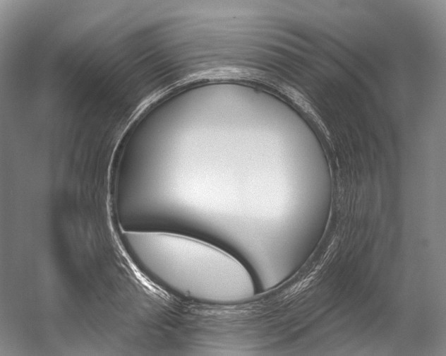 X0000060270845200510281033