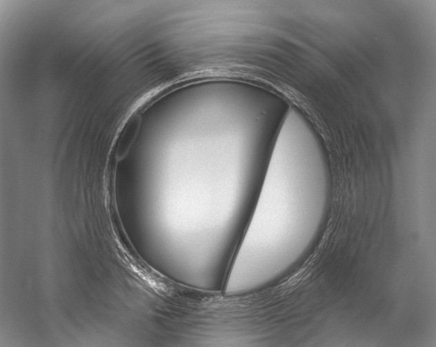 X0000060270846200510281033