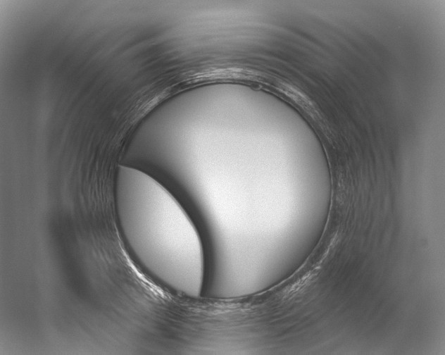 X0000060270849200510281033