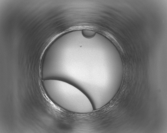 X0000060270852200510281033