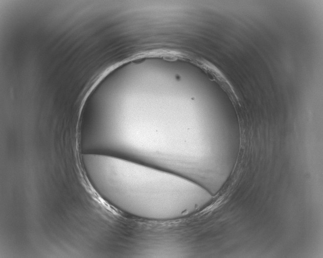 X0000060270860200510281033
