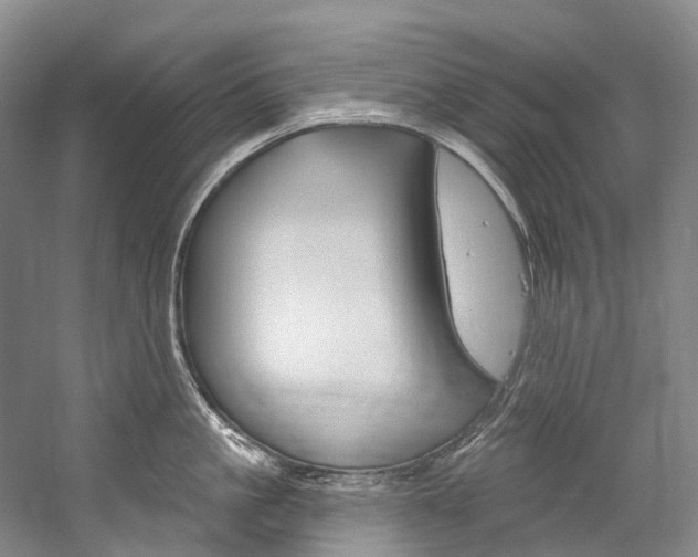 X0000060270861200510281033