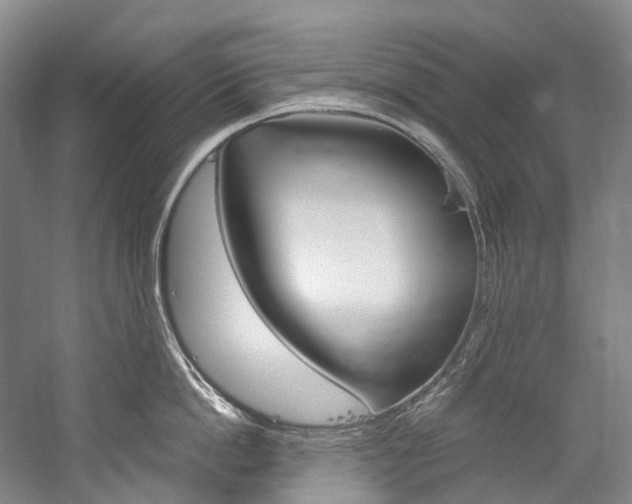 X0000060270862200510281033