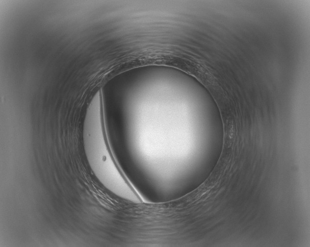 X0000060270868200510281032