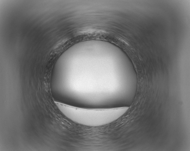 X0000060270869200510281032