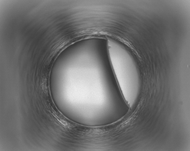 X0000060270881200510281032