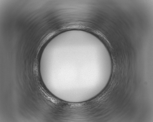 X0000060270882200510281032