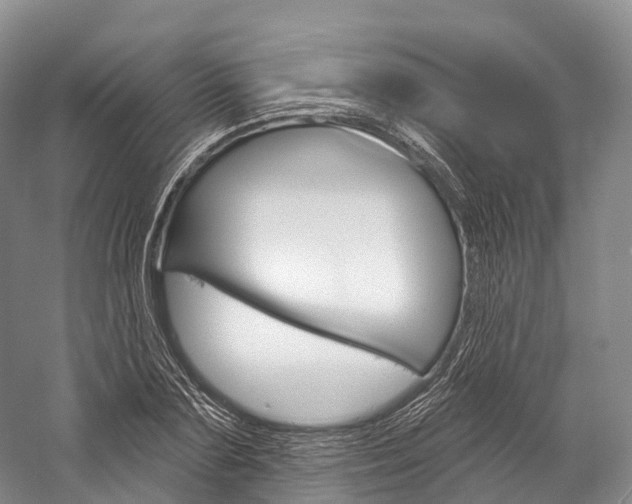 X0000060270883200510281032
