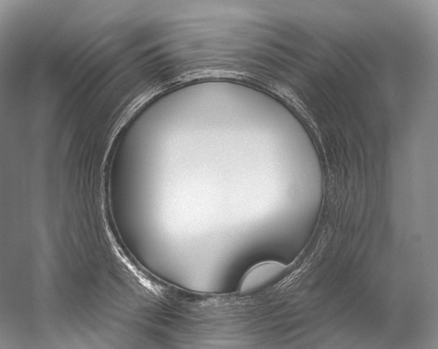 X0000060270898200510281032