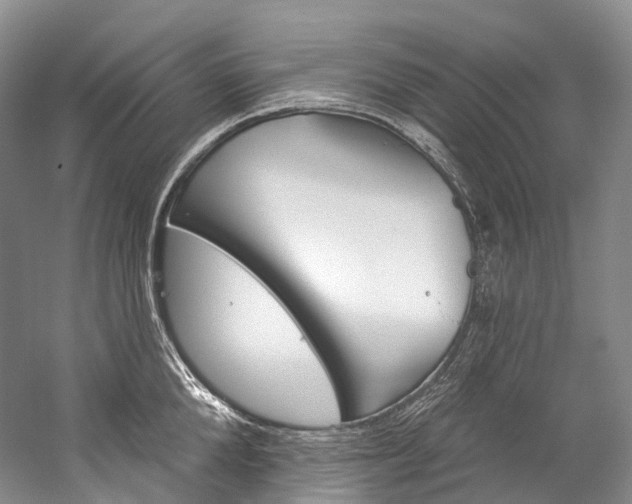 X0000060270904200510281032