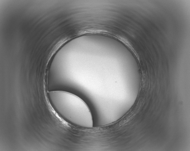 X0000060270906200510281032