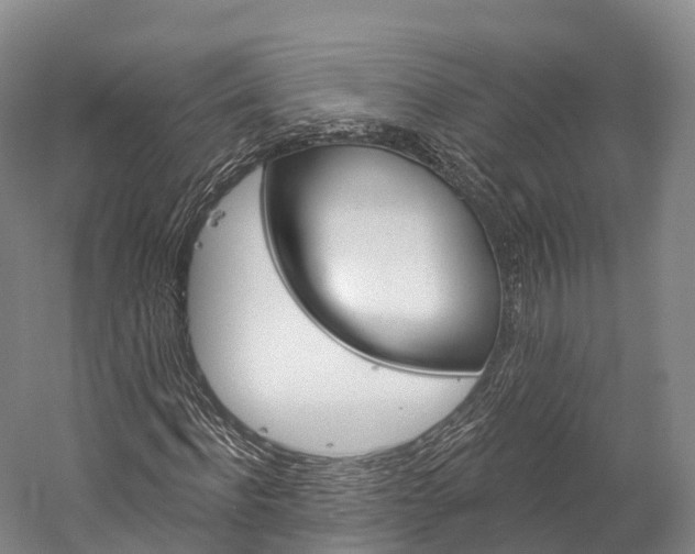X0000060270916200510281031