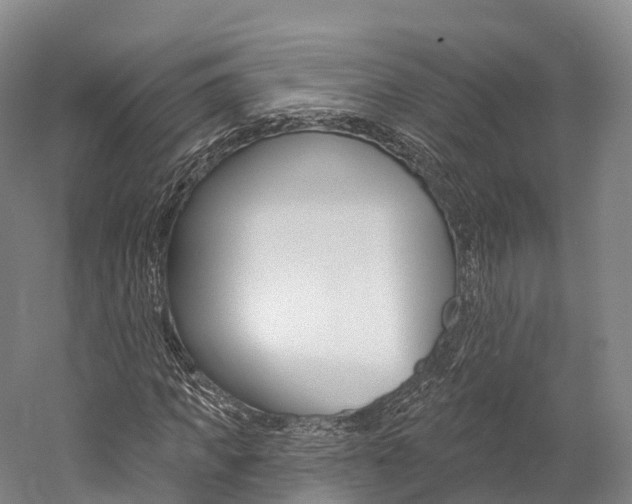 X0000060270917200510281031