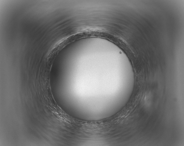 X0000060270919200510281031