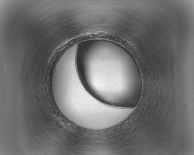 X0000060270920200510281031
