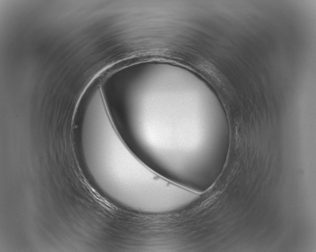 X0000060270924200510281031