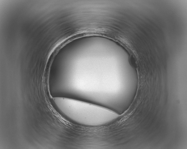 X0000060270928200510281031