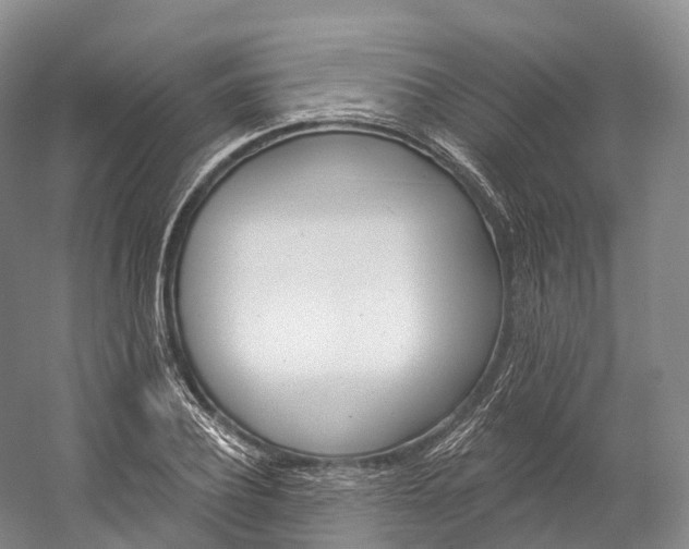 X0000060270932200510281031