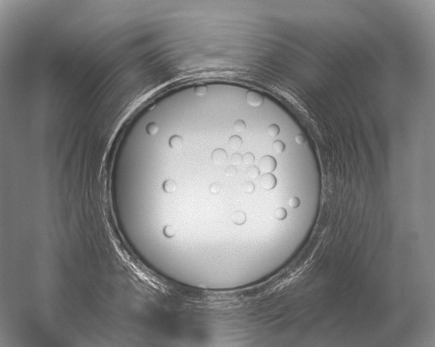 X0000060270933200510281031