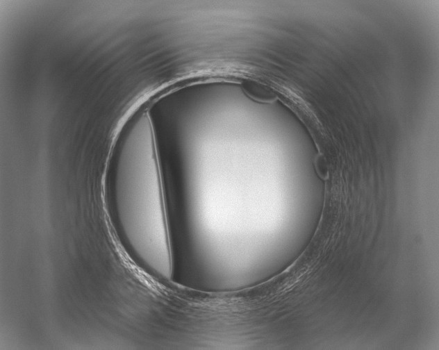 X0000060270936200510281031