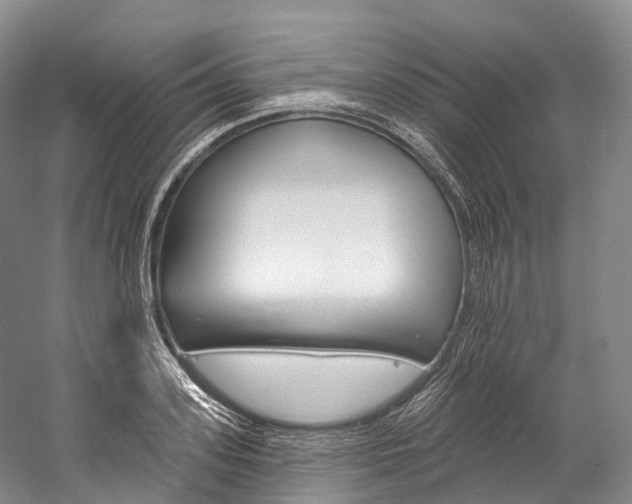 X0000060270939200510281031
