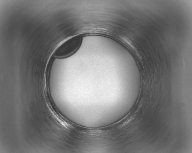 X0000060270940200510281031