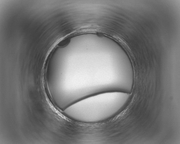 X0000060270941200510281031