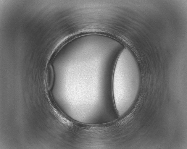 X0000060270942200510281031