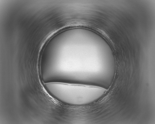 X0000060270943200510281031