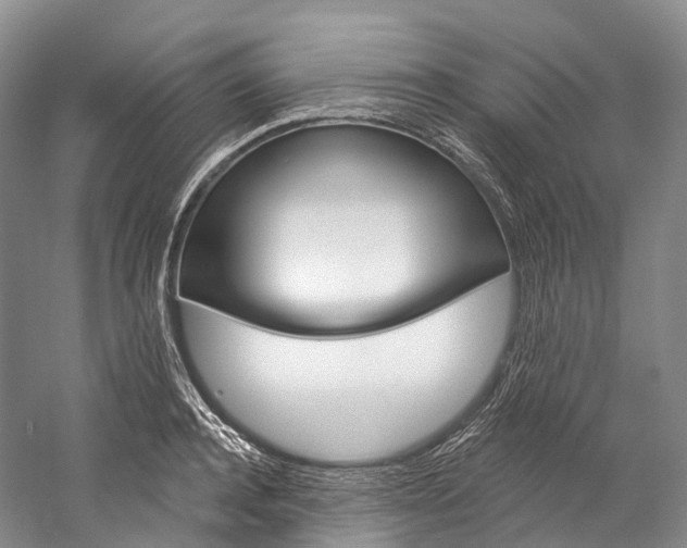X0000060270944200510281031