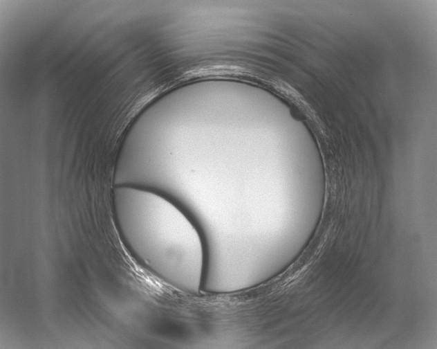 X0000060270945200510281031