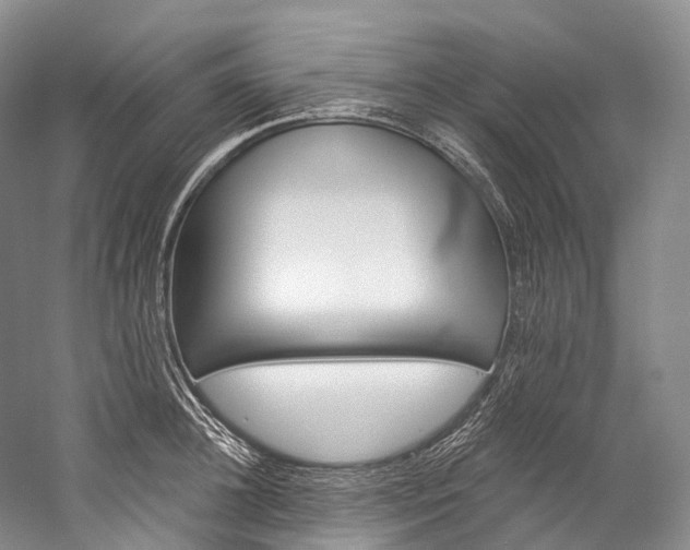 X0000060270948200510281031