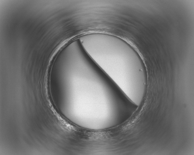 X0000060270949200510281031