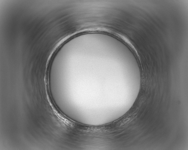 X0000060270951200510281031