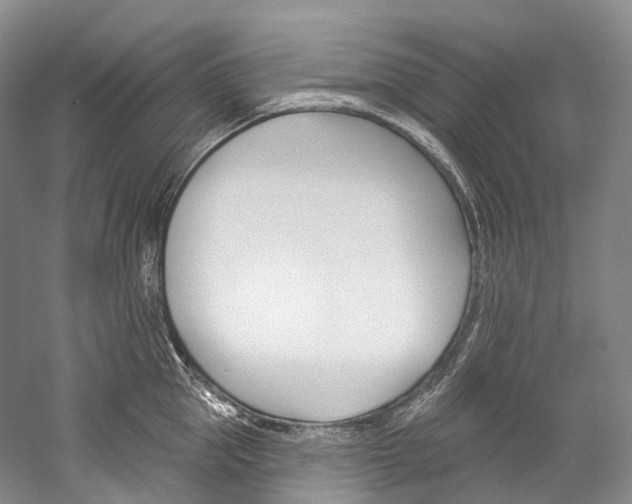 X0000060270953200510281031