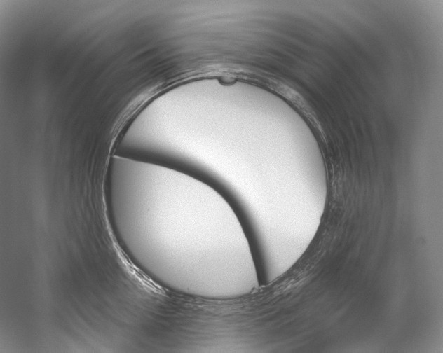 X0000060270954200510281031