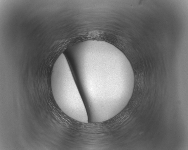 X0000060270962200510281031