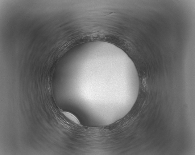 X0000060270963200510281031