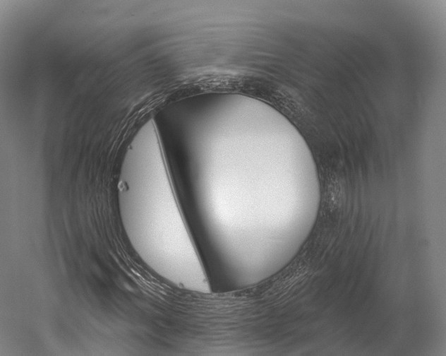 X0000060270964200510281031