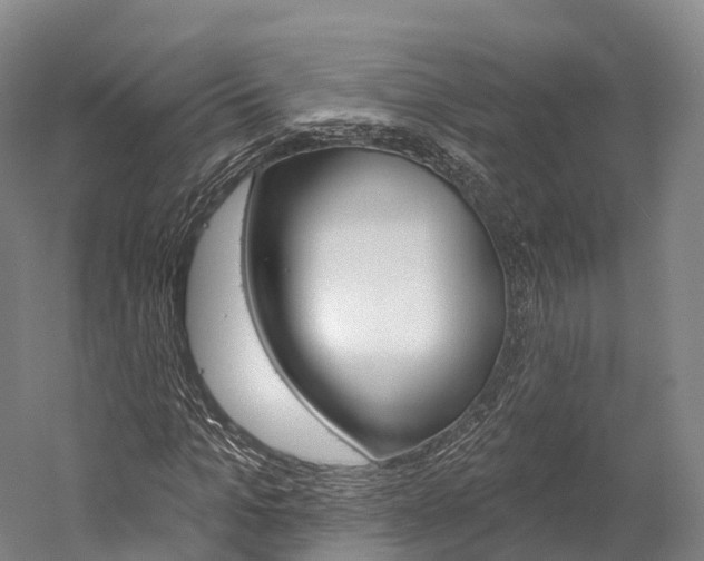 X0000060270965200510281031
