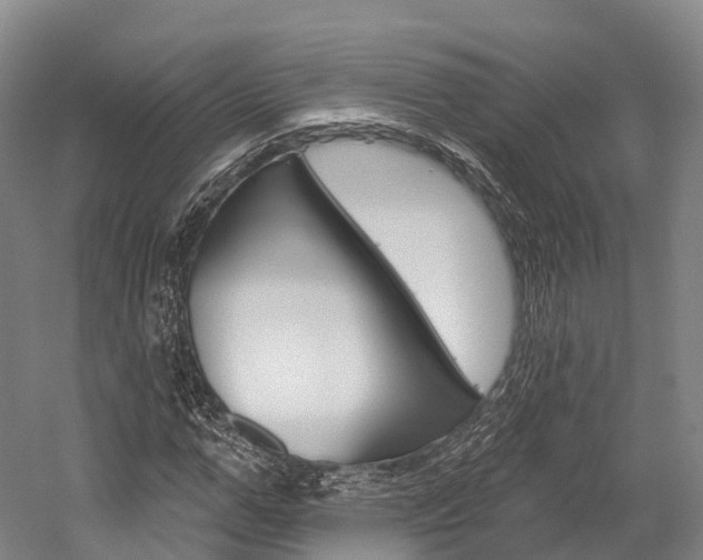 X0000060270967200510281031