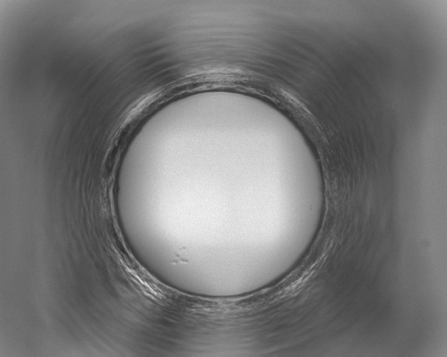 X0000060270970200510281031