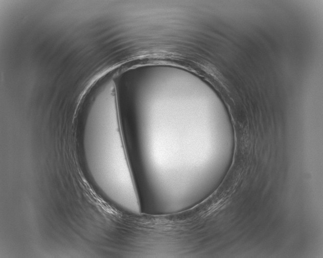 X0000060270971200510281031