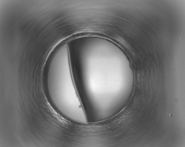 X0000060270972200510281031