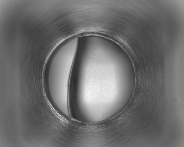 X0000060270976200510281031