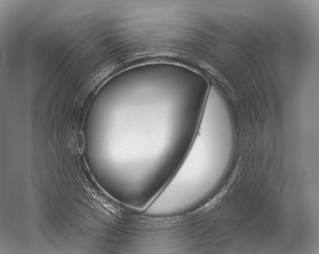 X0000060270977200510281031