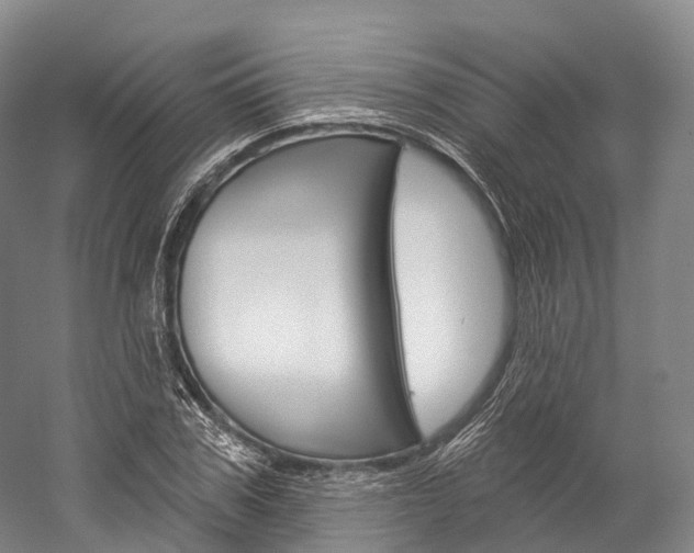 X0000060270979200510281030