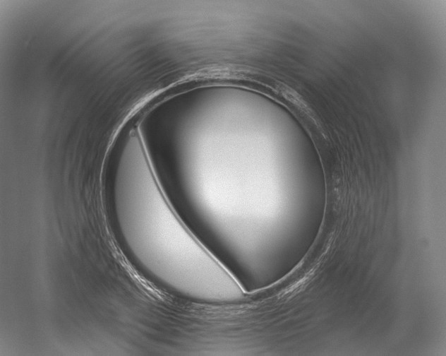 X0000060270981200510281030